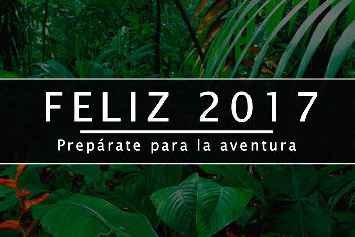 2017